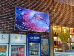 -蜀龙阁· 龍头水煮鱼(天坛店)