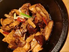 -凤凰湘语(浦东旗舰店)