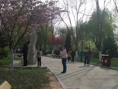 -裕华世纪公园