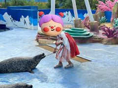 -北戴河圣蓝海洋公园