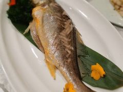 潮式打冷鲜冻黄花鱼-红棉中餐厅·广州海航威斯汀酒店