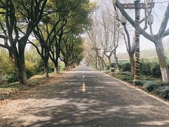 -宜兴龙背山森林公园