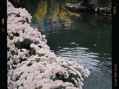 -杭州植物园