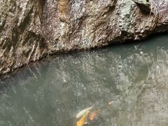 -雁荡山三折瀑景区