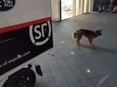 -代数学家algebraist(东吴龙湖天街店)