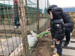 -上海崇明金茂凯悦酒店