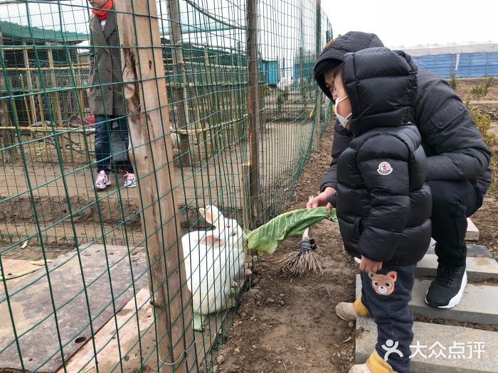 上海崇明金茂凯悦酒店图片