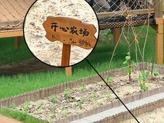 -冶父山国家森林公园