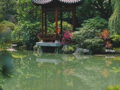 -云溪植物园