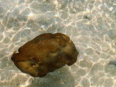 -石螺口海滩