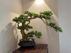 -静雅推拿(鹭洲里店)