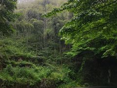 -莫干山风景区