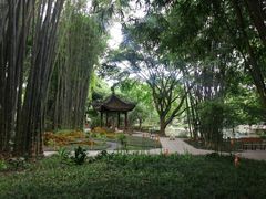 -望江楼公园