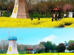 -武汉紫薇都市田园