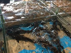 -海景壹号大酒店(惠钱路店)