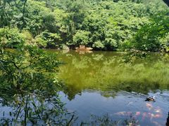 -天目湖山水园