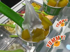 -Salud撒露欧洲冻酸奶(蓝色港湾店)