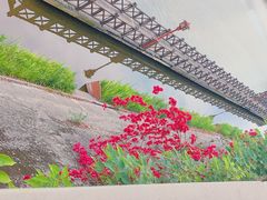 -眉山湿地公园(东坡区)