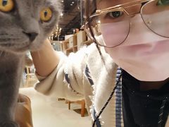 -藏猫猫咖啡主题馆(中央大道店)