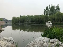 -东方苑自助餐厅(稻香湖景酒店)