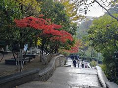 -黔灵山公园