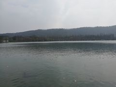 -西湖外事游船(花港观鱼码头)