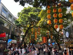 -越秀西湖花市(广州城市广场花卉店)