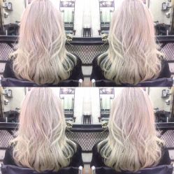 -SALON V