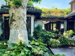 -鲤院·新中式美学·庭院餐厅(夫子庙店)