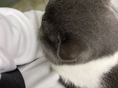 -PETKIT小佩宠物·低压洗护(国顺东路店)