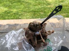 羊脑-洪记白水羊头(天坛店)