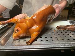 -阿庄新豫菜(航海东路店)