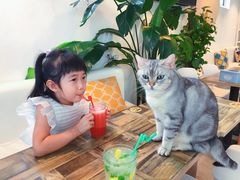-小时光咖啡馆(北锣鼓巷店)