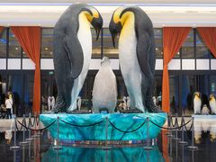 -珠海长隆海洋王国