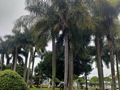 -石炮台公园