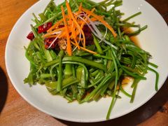 -菌自由丨野生菌火锅特色庭院餐厅(丽江古城店)