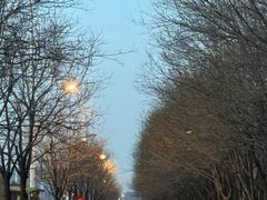 -莫子山公园