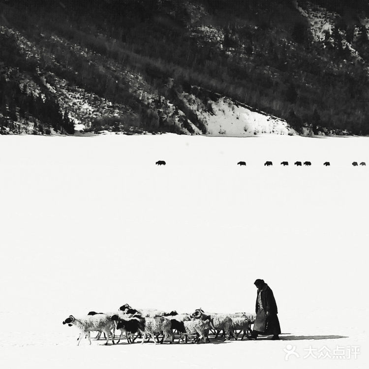 喜茶买一送一的快乐[礼花]