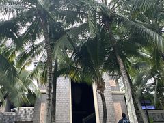 -海南清水湾莱佛士酒店