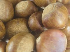 -上水足浴·芳疗(国贸店)