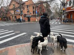 -Legno.ita Coffee by Wood(襄阳南路店)