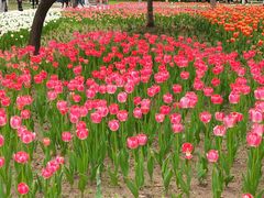 -长春公园(普阳街道)