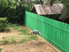 -西霞口神雕山野生动物世界