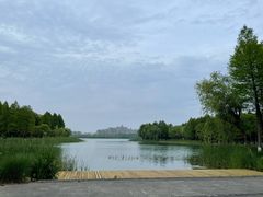 -暨阳湖生态园