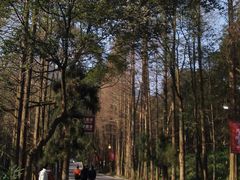 -峨眉山报国寺