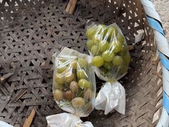 -马陆小张葡萄园农家乐