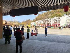 -千年银杏谷文化旅游区