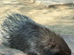-青藏高原野生动物园