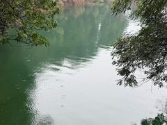 -广州市流溪河国家森林公园
