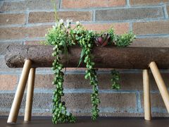 -芳草地度假酒店·野炉中餐厅